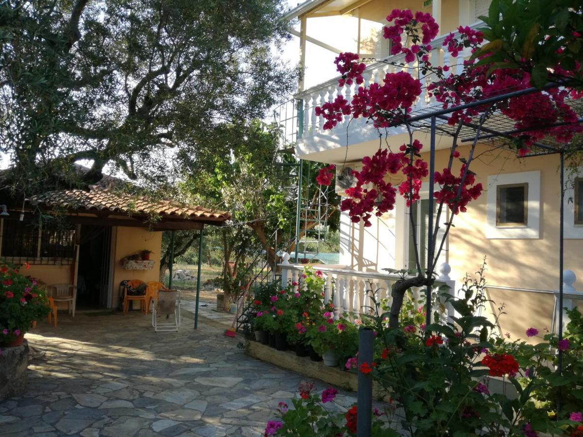 Aparthotel Casa Dyonisia Tsilivi Plános Exterior foto