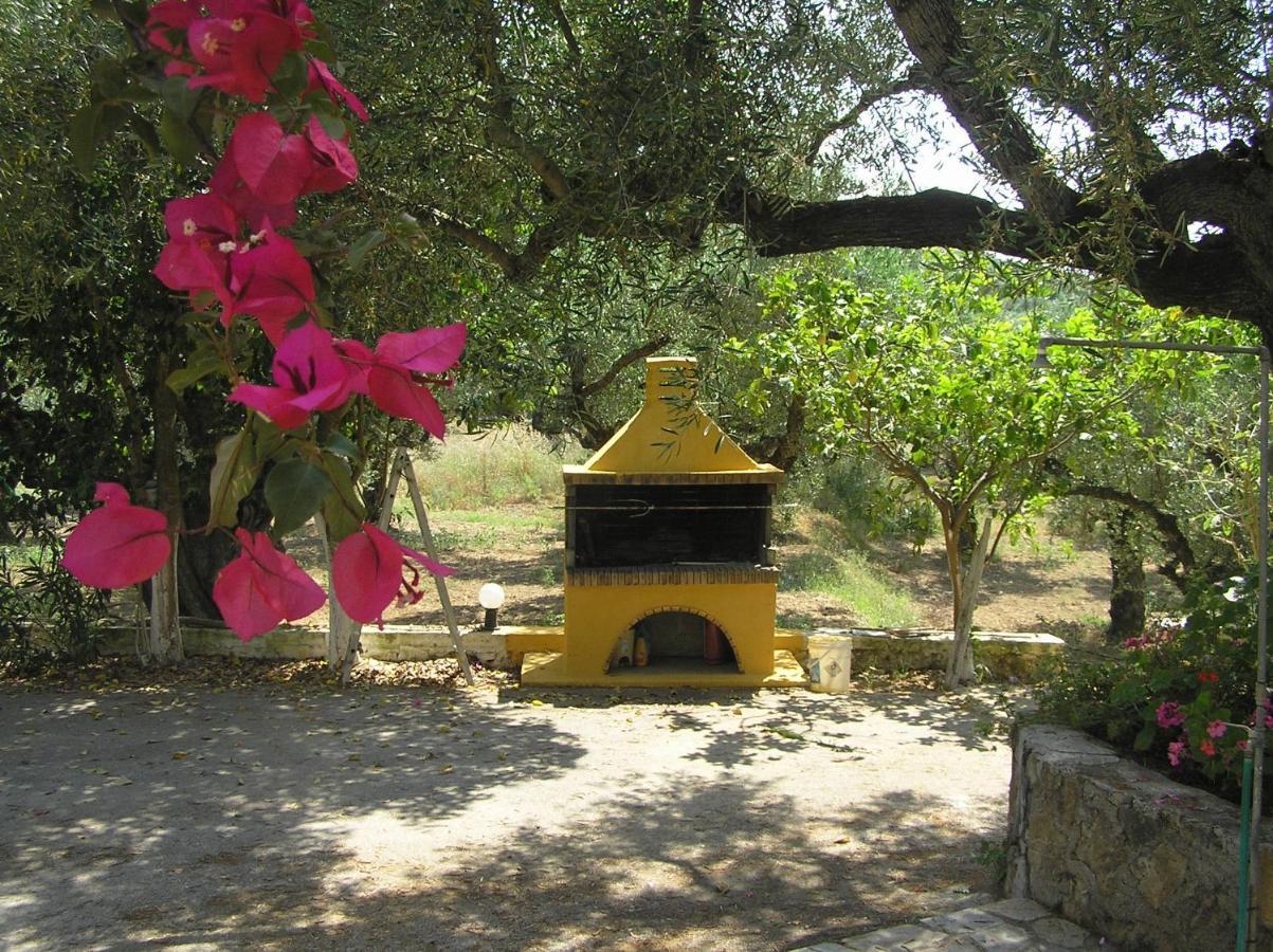 Aparthotel Casa Dyonisia Tsilivi Plános Exterior foto